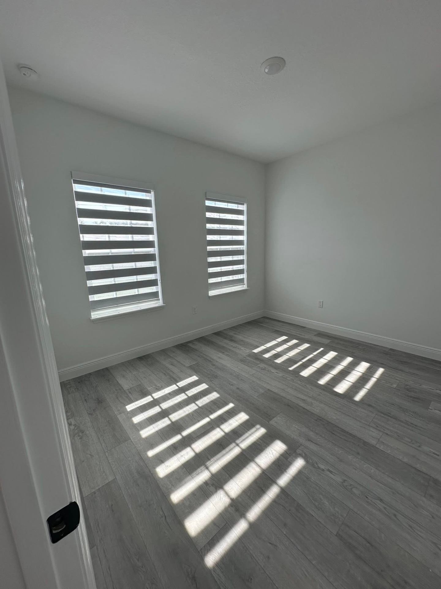 Commercial dual-shade zebra blinds in Tampa office space