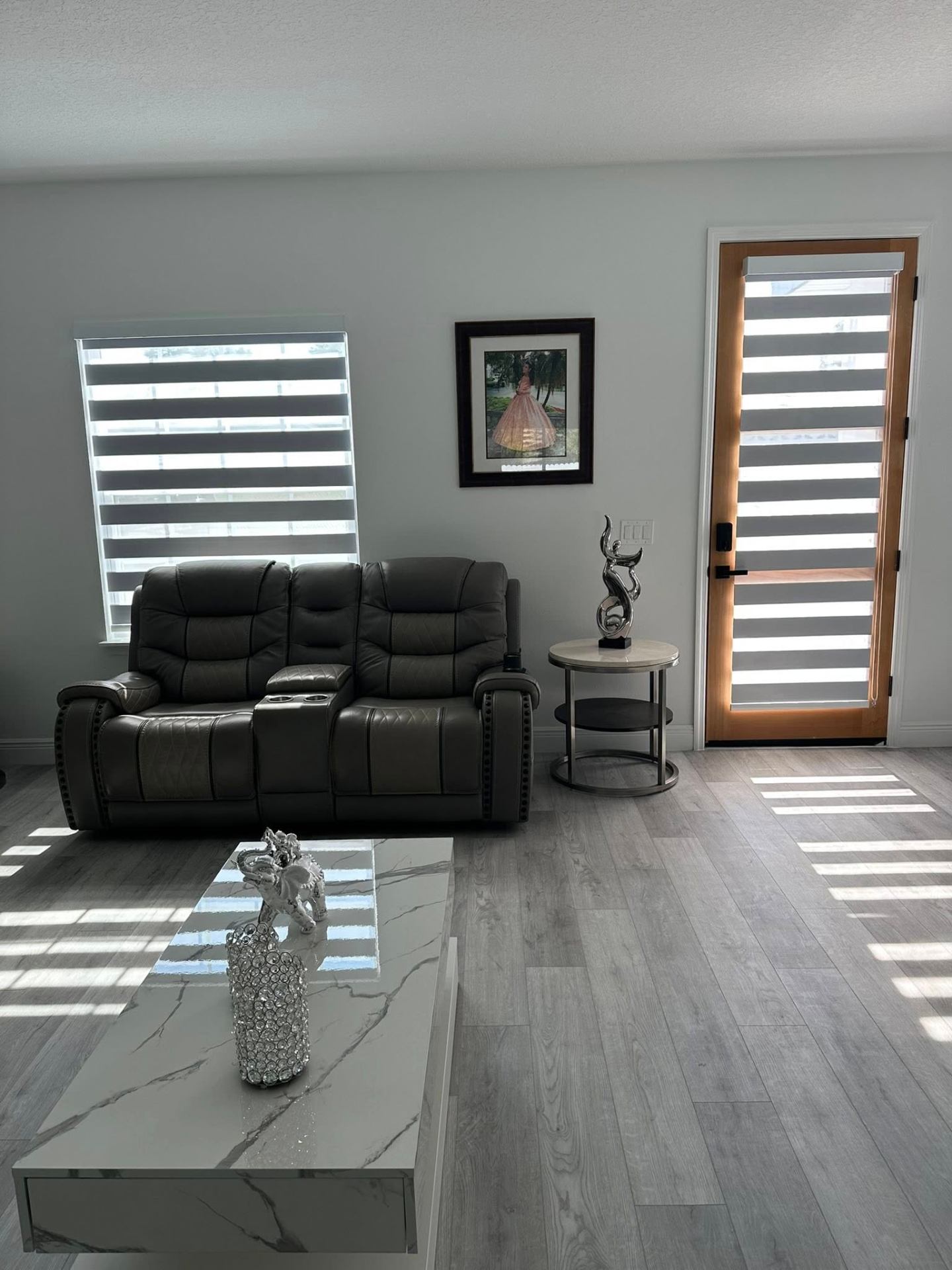 Zebra shades on living room window and patio door in Tampa
